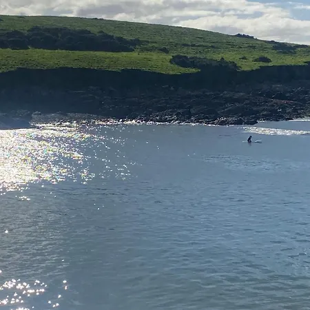 Seaside Kinsale 펜션 Feevaghmore